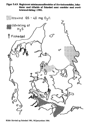 Iltsvind og fiskedød i 1981 (Miljøstyrelsen)
