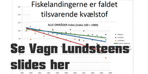 Vagn Lundsteen_slides