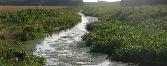 Gård og vand